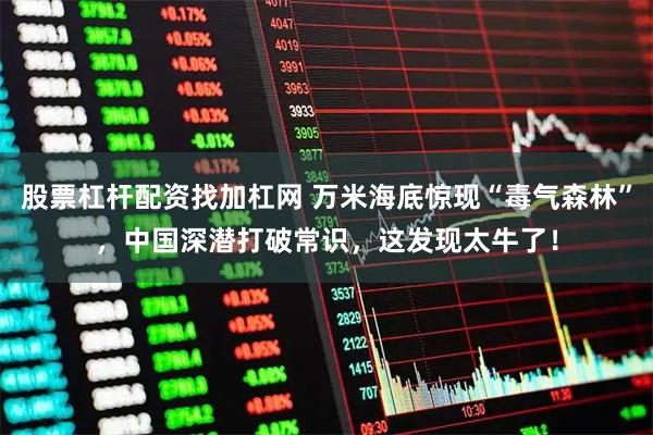 股票杠杆配资找加杠网 万米海底惊现“毒气森林”，中国深潜打破常识，这发现太牛了！